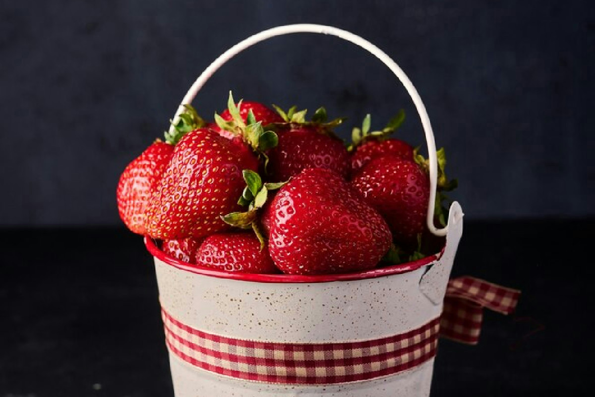 Fragole in vaso che ingialliscono? Il trucco del fogliame secco per riportarle vive e rigogliose