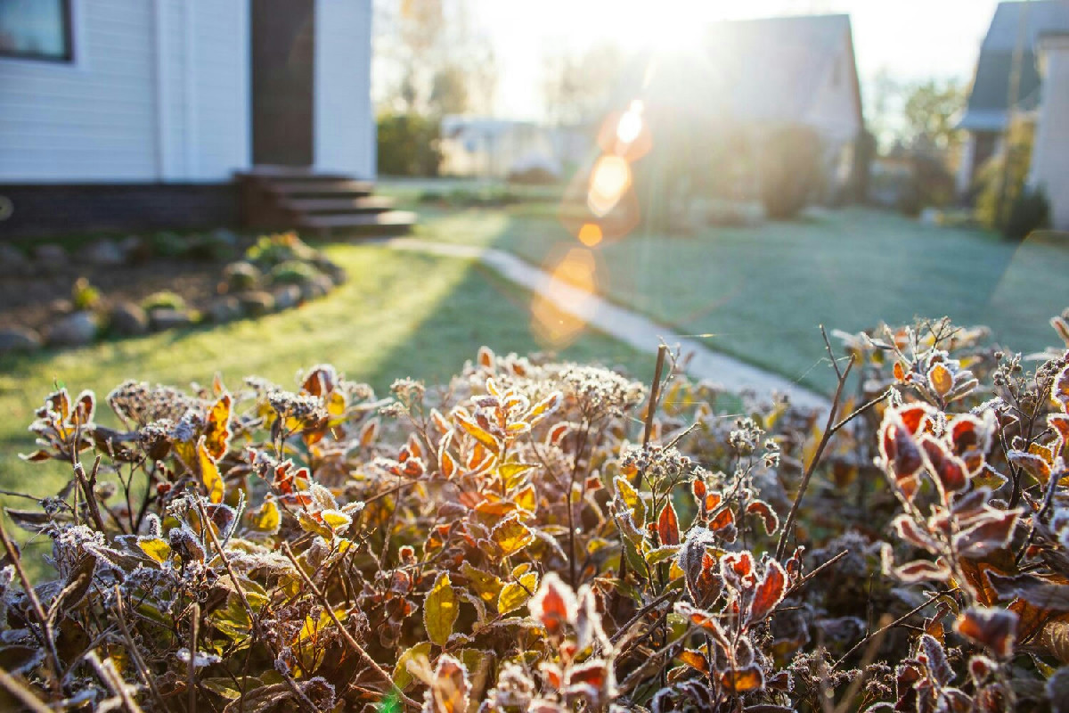 Giardino in inverno: idee pratiche per trasformare lo spazio esterno in un rifugio accogliente