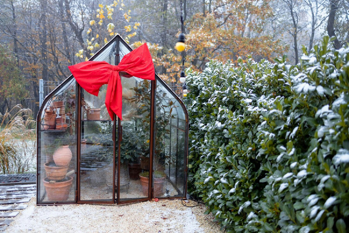 Giardino in inverno: idee pratiche per trasformare lo spazio esterno in un rifugio accogliente