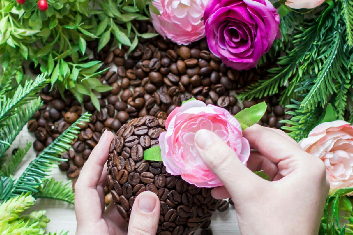 Non buttare i fondi di caffè: ecco come trasformarli in un tesoro naturale per le tue piante