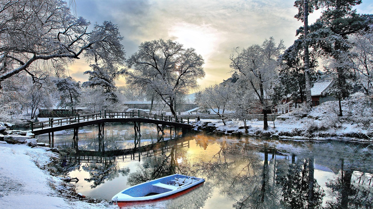 Quando il giardino d’inverno si ferma: la natura rallenta e regala preziose lezioni di vita