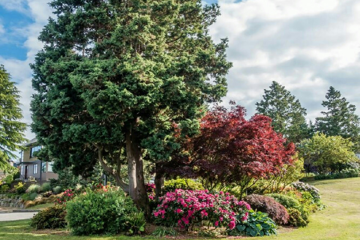 Da quando ho lasciato il mio giardino alla natura, si è trasformato in un rifugio ricco di vita nuova