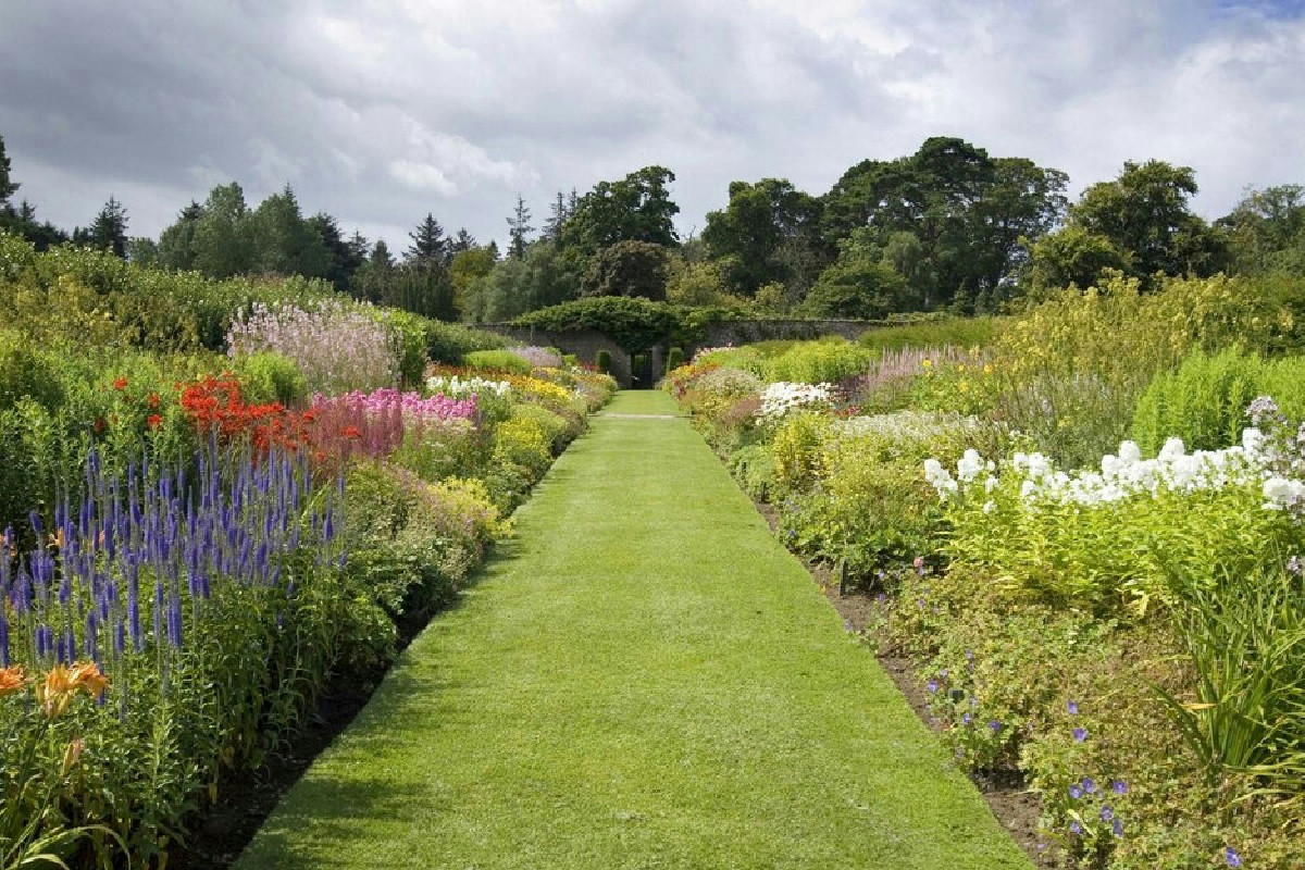 Da quando ho lasciato il mio giardino alla natura, si è trasformato in un rifugio ricco di vita nuova