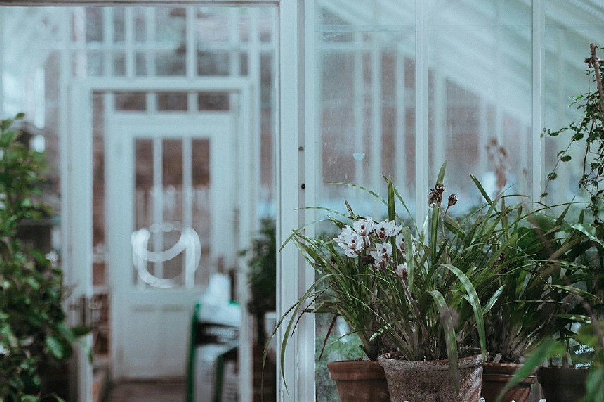 La Tua Serra Rende al Massimo? Errori di Pianificazione da Evitare - fiorirondo.it