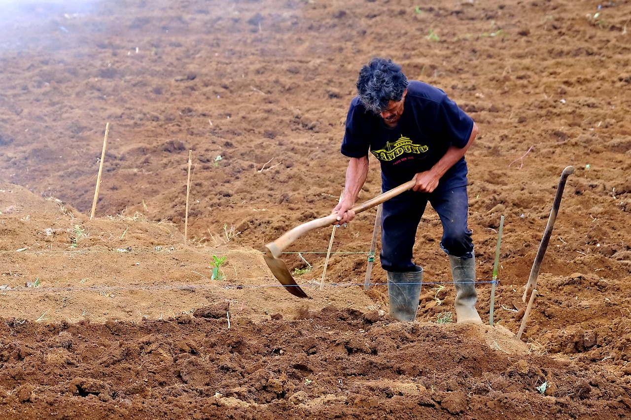 Il terreno ostacola la crescita? Segnali che indicano troppa acidità e strategie per risolvere