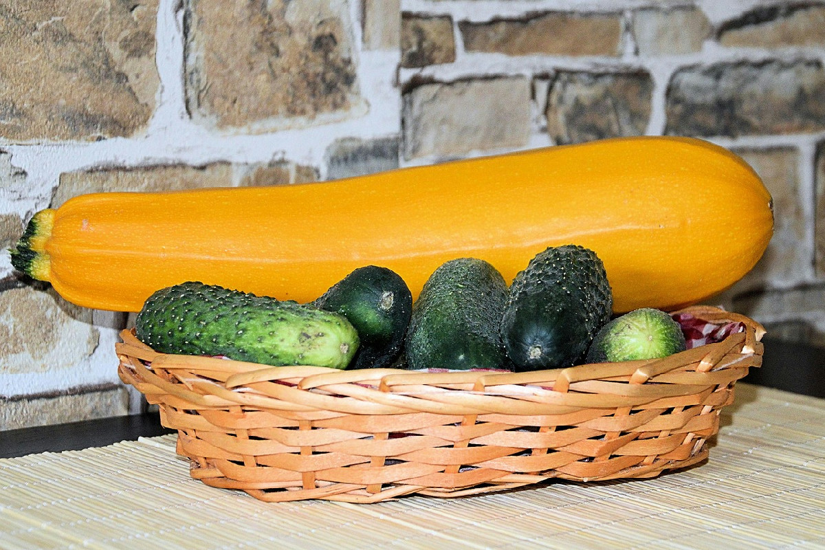 Zucchine anche in autunno? Ecco come ottenere raccolti generosi fino a novembre con 5 strategie