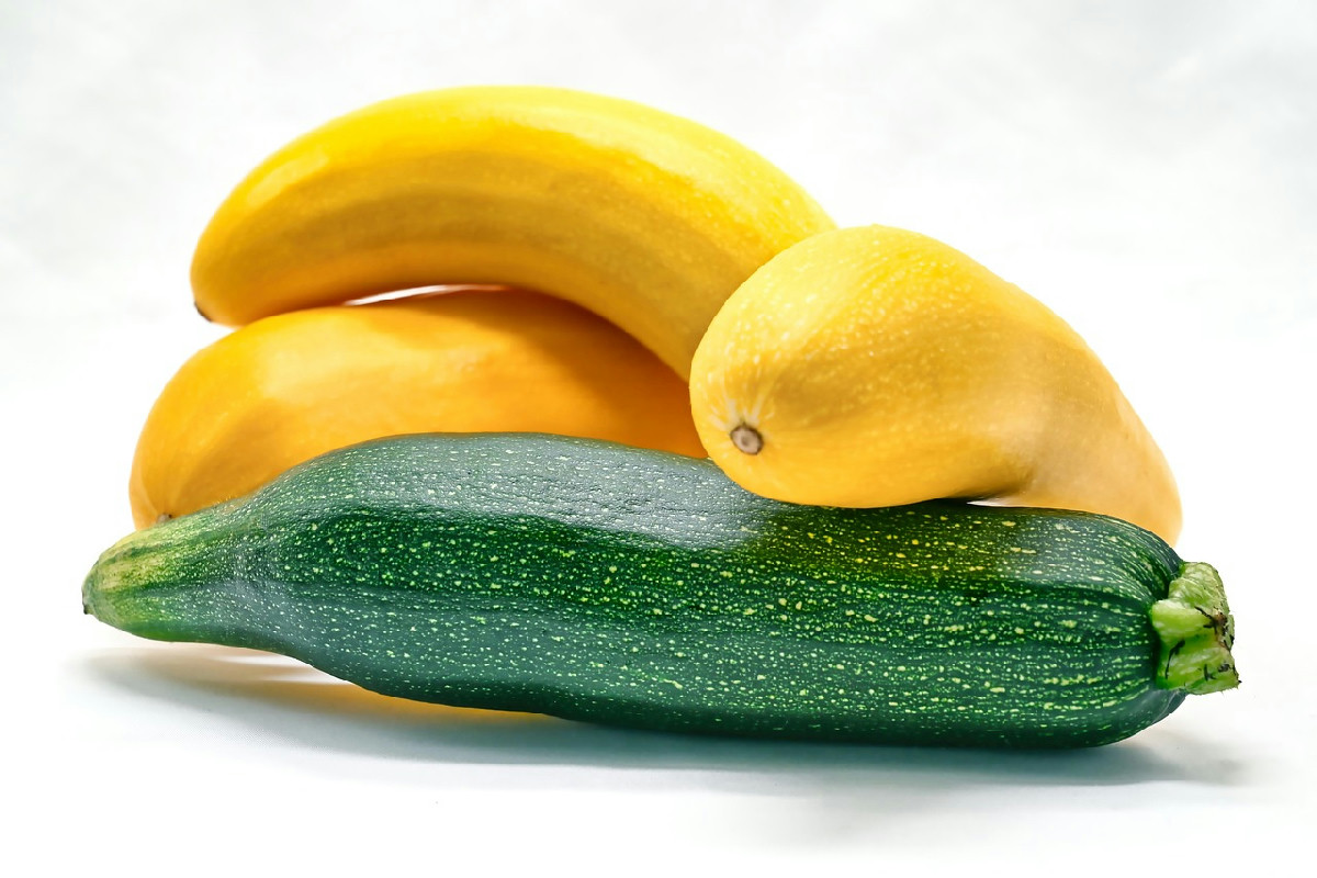 Zucchine anche in autunno? Ecco come ottenere raccolti generosi fino a novembre con 5 strategie