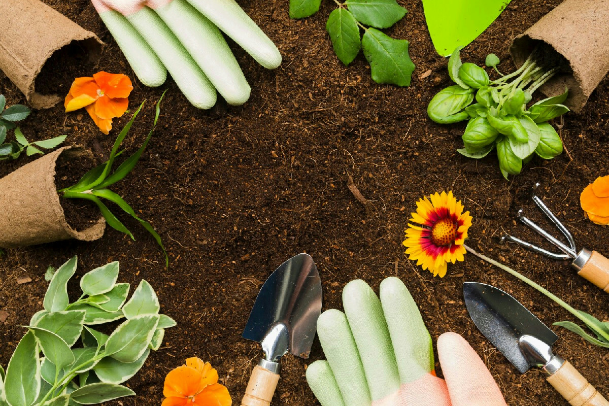 10 consigli essenziali per un giardino rigoglioso e piante più forti e vitali