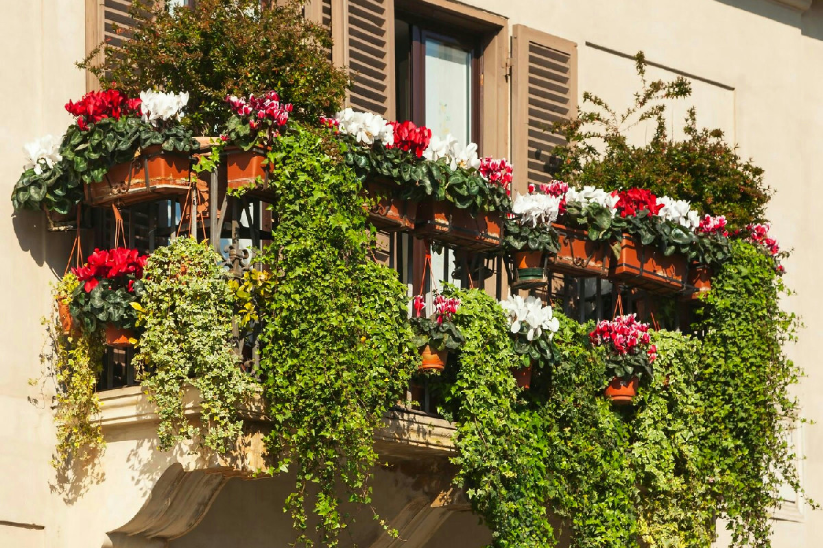 Dove il verde prende vita anche negli spazi più ristretti: il balcone diventa rifugio prezioso