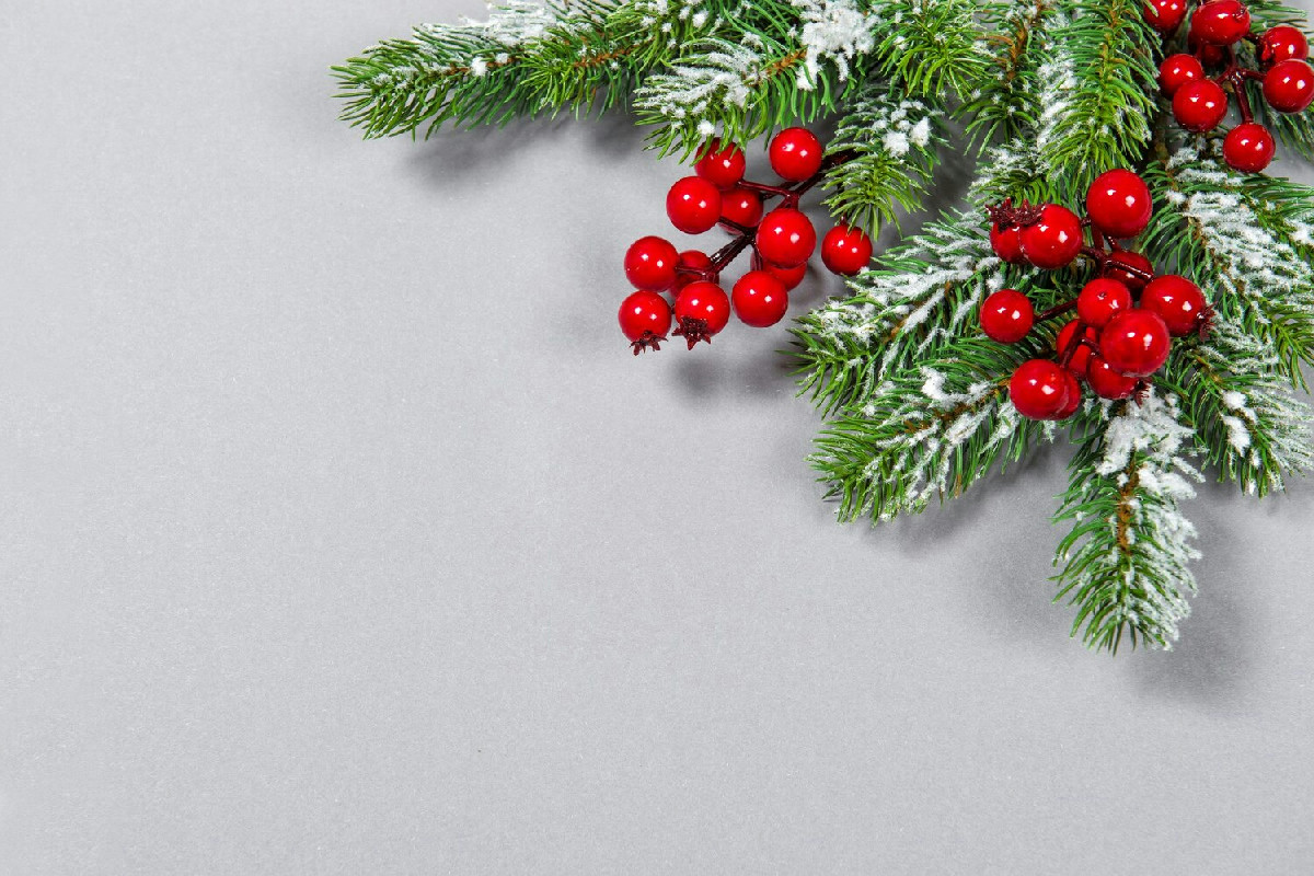 Fiori ideali per il Capodanno: quali scegliere per portare fortuna e gioia nel nuovo anno