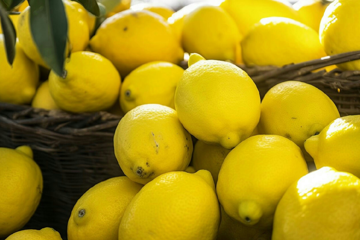 Il limone in casa regala fiori e profumo? Ecco la soluzione dei giardinieri che fa la differenza