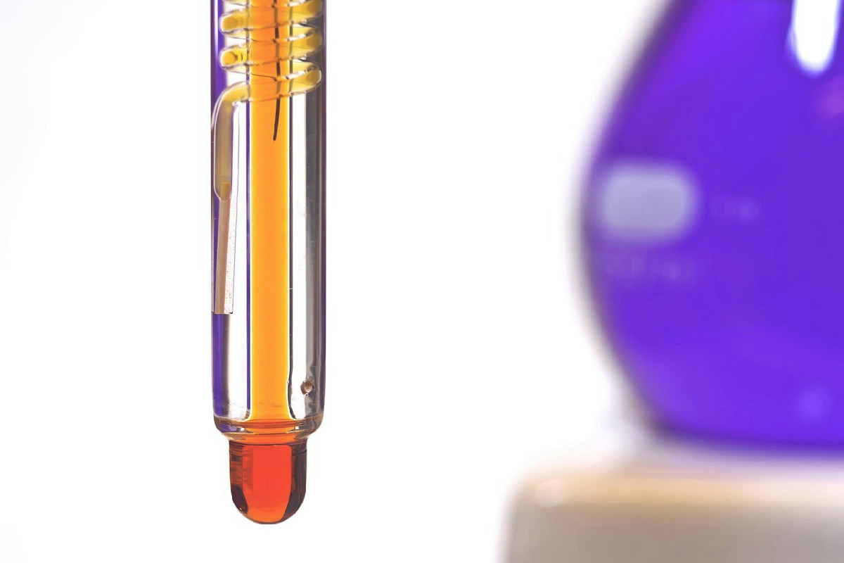 Maggiociondolo: fiori dorati, proprietà, ambienti ideali e curiosità sulla pianta ornamentale