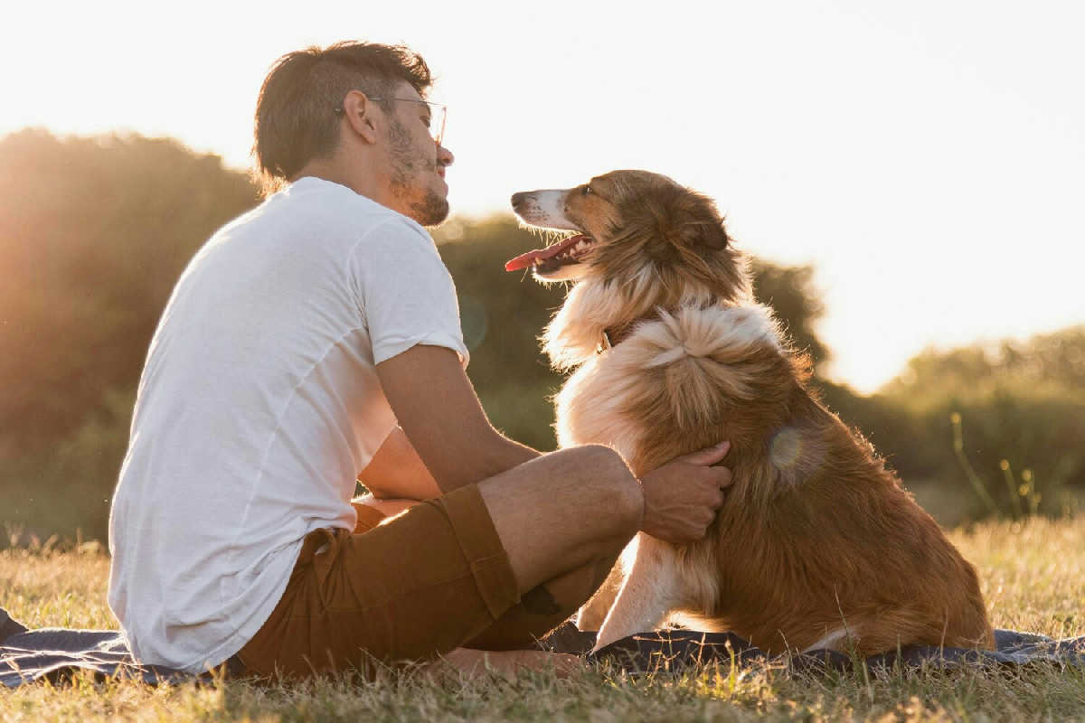 Perché il tuo cane a volte preferisce stare solo invece che con altri amici a quattro zampe