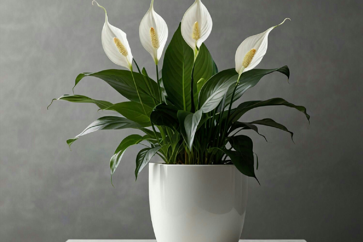 Spatifillo con punte secche in salotto: trasferiscilo in bagno e osserva i cambiamenti in 24 ore