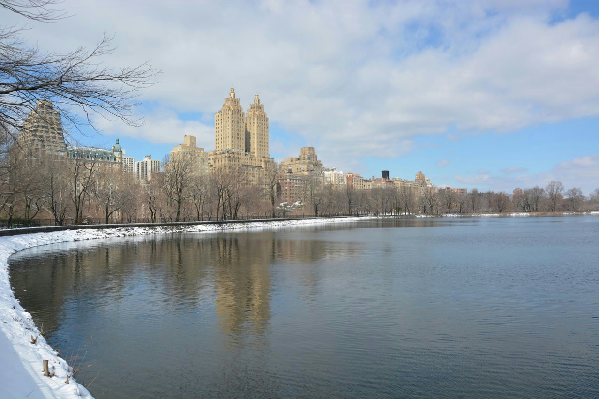 La magia della prima neve avvolge New York tra silenzi e atmosfere rarefatte di bianco