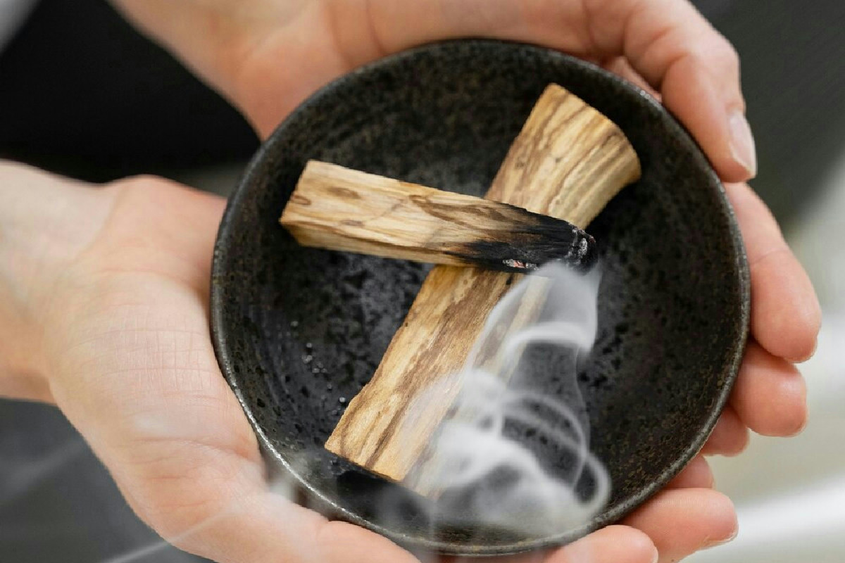 Palo Santo: guida pratica all’uso del legno sacro per purificare e rinvigorire gli ambienti domestici