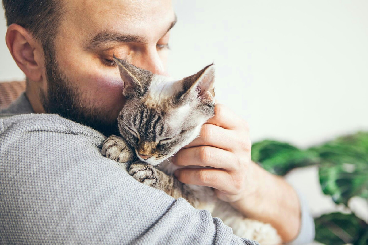 Sai cosa significa quando il tuo gatto ti sfiora? Migliaia lo fanno ogni giorno in casa
