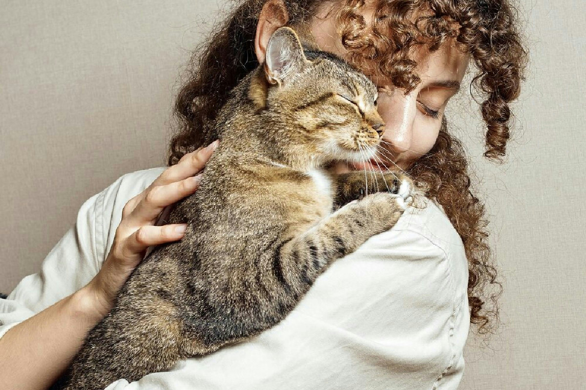Sai cosa significa quando il tuo gatto ti sfiora? Migliaia lo fanno ogni giorno in casa